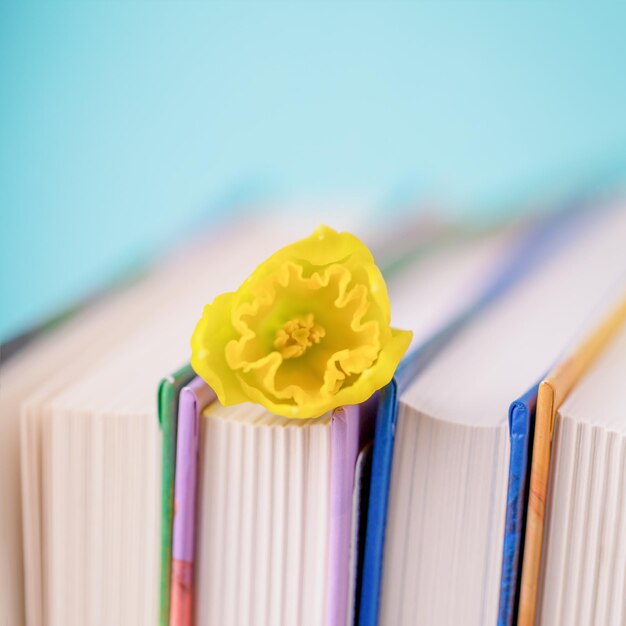 Foto een stapel boeken met een lentegele narcissusbloem op een bleke aqua-kleurige achtergrond