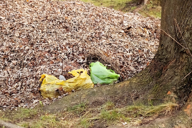 Een stapel gele bladeren en plastic afvalzakken