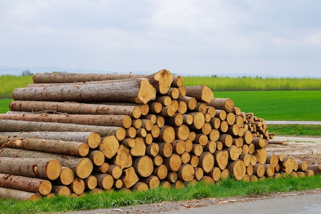 Een stapel houten stammen ligt op het gras in de buurt van de weg. Het probleem van ontbossing. Ecologisch probleem.