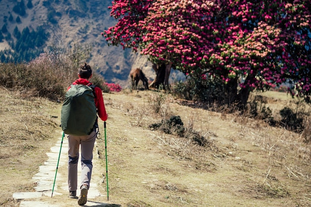 Een sterke man klimt bergop met een grote rugzak. concept van wandelen in de himalaya-bergen.
