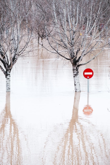 Een stop verkeersbord en bomen onder water na een sterke overstroming in Zaragoza, Spanje