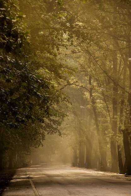 Een straat in de ochtend