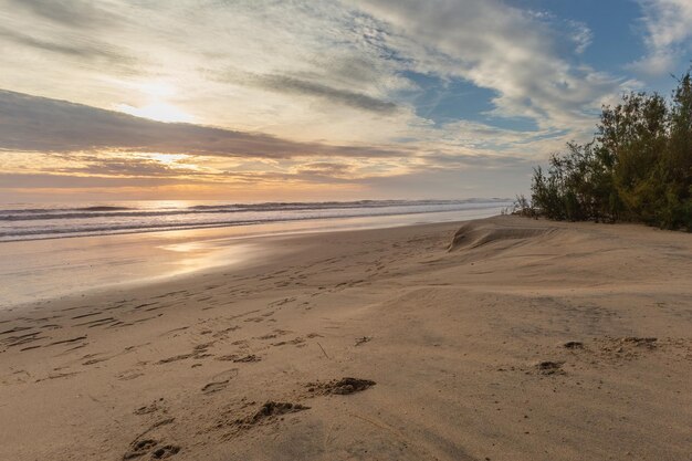 Foto een strand bij zonsondergang met een strand en bomen op de voorgrond.