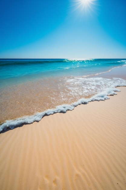 Een strand met een blauwe lucht en de oceaan op de achtergrond.