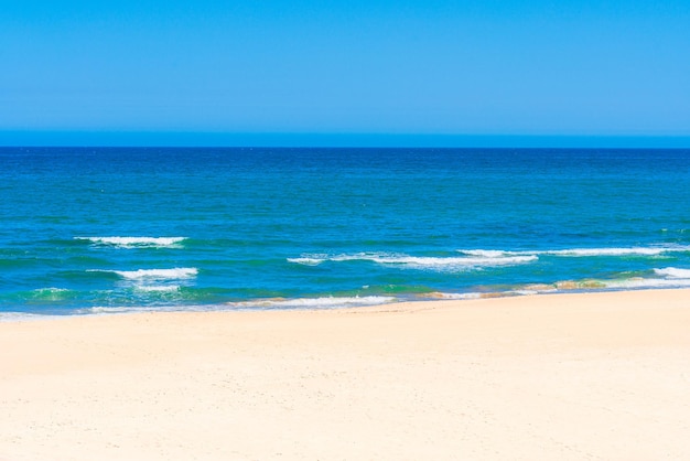 Foto een strand met een blauwe lucht en golven