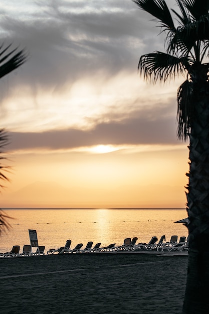 Een strand met een palmboom voor een zonsondergang