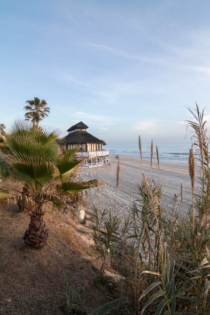 Een strandbar tussen de palmbomen op het prachtige strand van Matalascanas Spanje Vakantieconcept