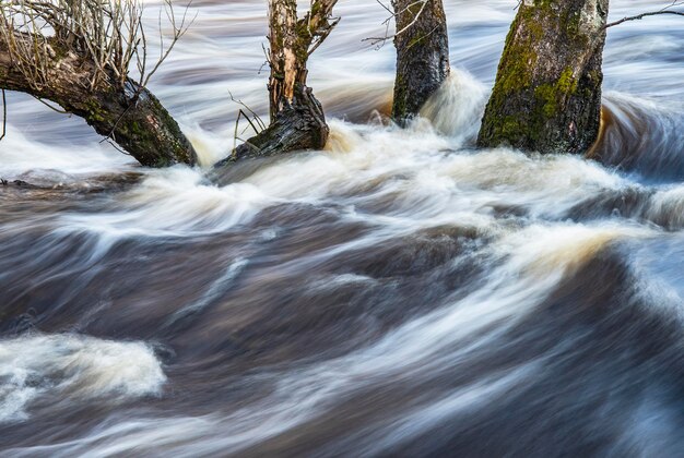 Foto een stromende lente rivier springt door de bomen tijdens de lente in de zweedse natuur aan het einde van maart