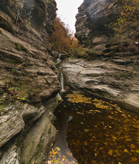 Foto een stroom die door rotsen in het bos stroomt.