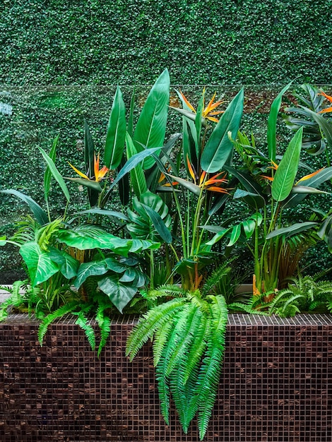 Een struik van kunstmatige tropische planten bruine keramische tegels en glas Plastic realistische bladeren bloemen