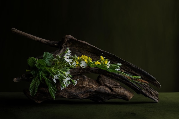 Een stuk hout met bloemen erop Ornithogalum Ficaria verna