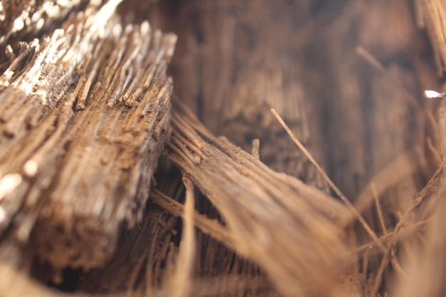 Een stuk hout met een borstel erin