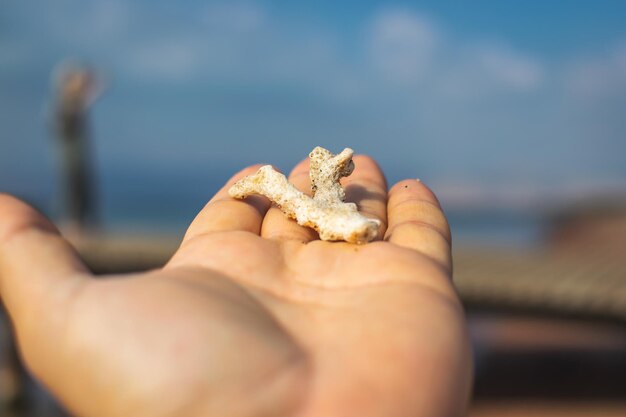 Een stuk koraal gevonden op een exotisch strand, concept voor reistoerisme, toeristische plaatsen