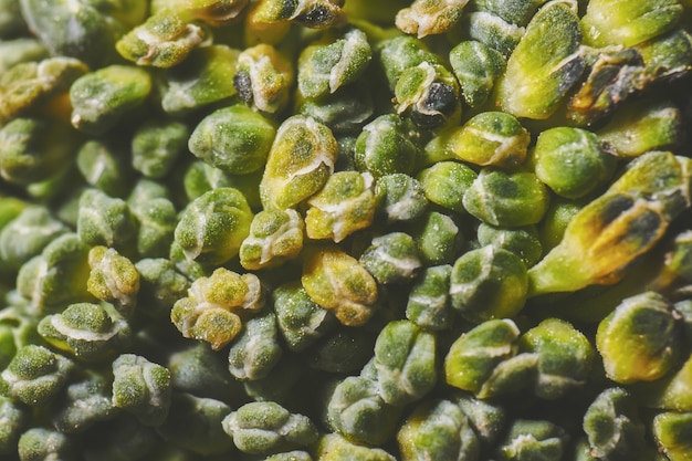 Een super macro-broccoli