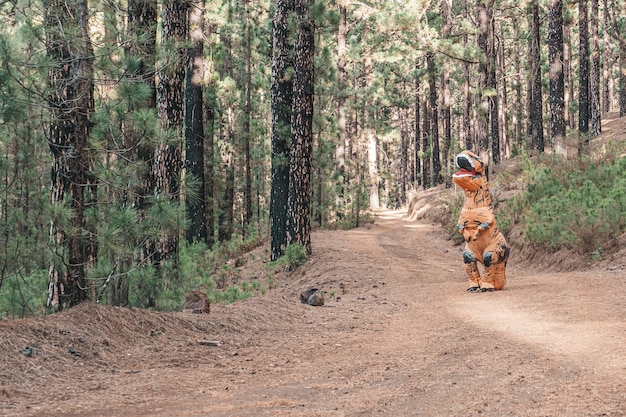 Een t-rex-kostuum dat de aarde ontdekt en op de weg van een bos of berg loopt op zoek naar iets