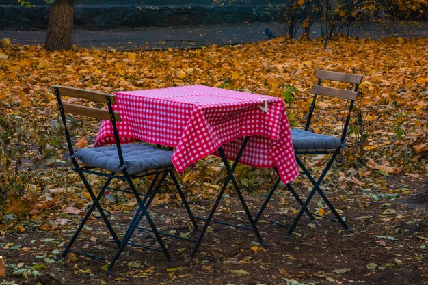 Een tafel voor twee, een bankje in een herfstpark, gekleurde bladeren vallen