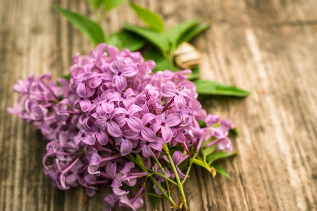 Een tak met lente lila bloemen close-up