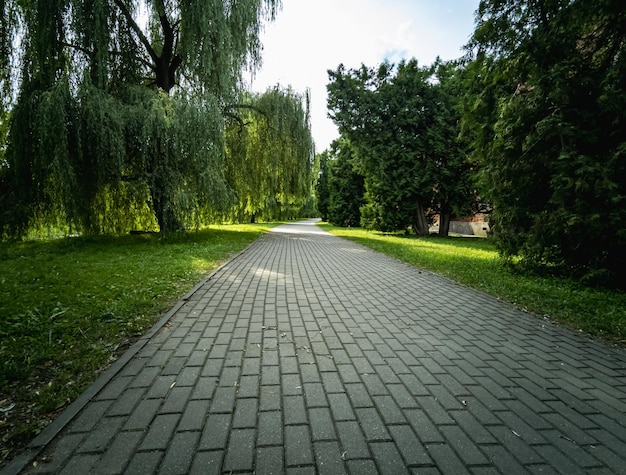 Een tegelweg door een prachtig park met grote bomen en weelderig groen gebladerte