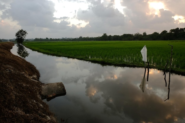 Een teken in het water