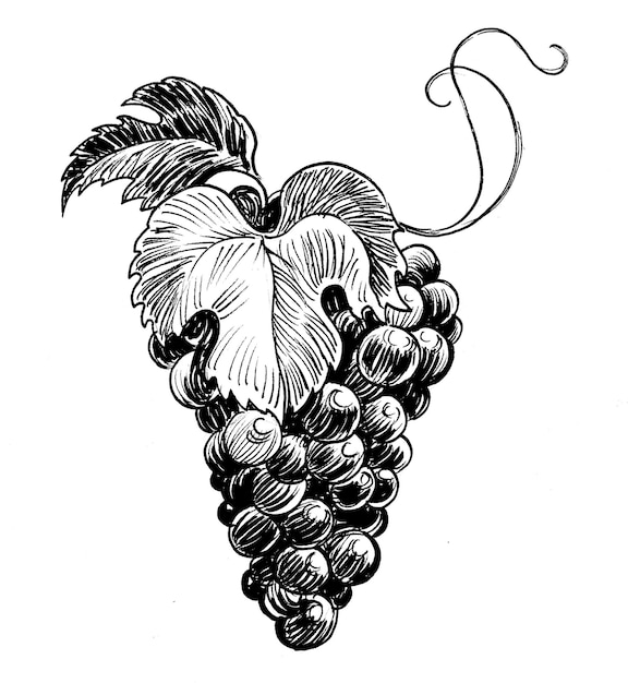 Een tekening van druiven met de letter a erop