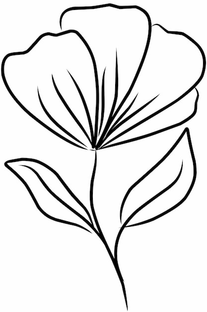 een tekening van een bloem met bladeren en een tekening of een bloem