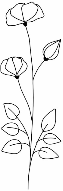 een tekening van een bloem op een witte achtergrond
