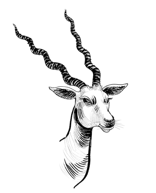 Een tekening van een gazelle met lange hoorns en een zwart-witte achtergrond.