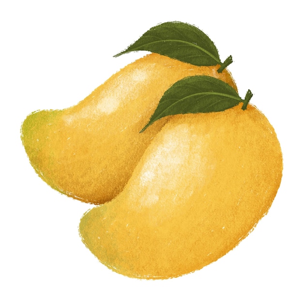 een tekening van mango met bladeren erop