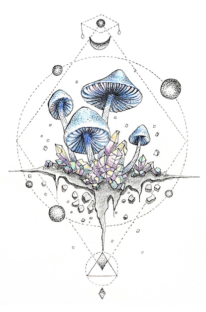 Een tekening van paddenstoelen met een zeshoek in het midden.