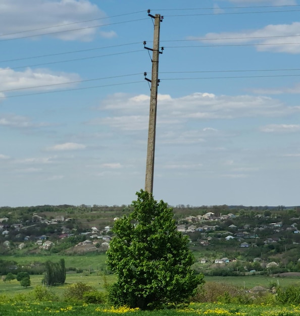 Foto een telefoonpaal staat midden in een veld en de lucht is blauw.