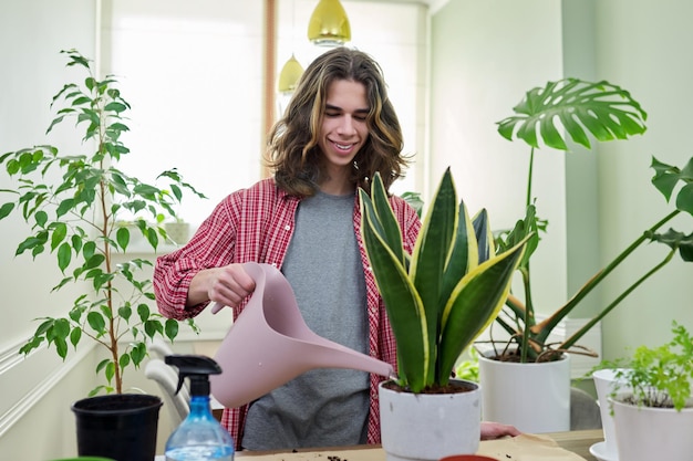 Een tiener die kamerplanten water geeft in potten sansevieria