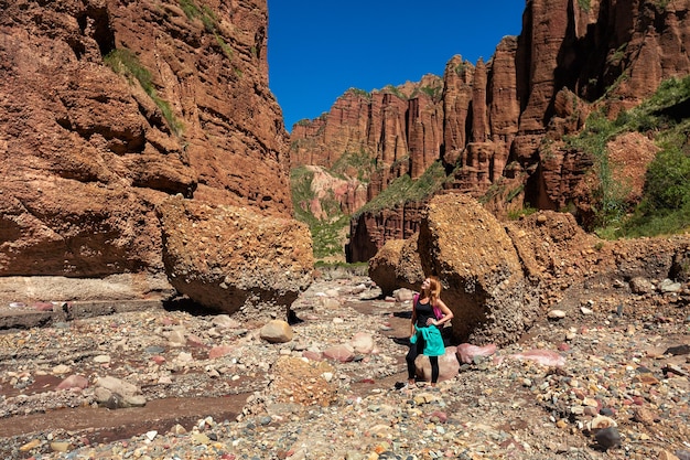 Een toerist kijkt naar de Canyon de Palca bij La Paz Bolivia