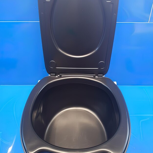 een toilet met het deksel omhoog en het dektje omhoog is zwart