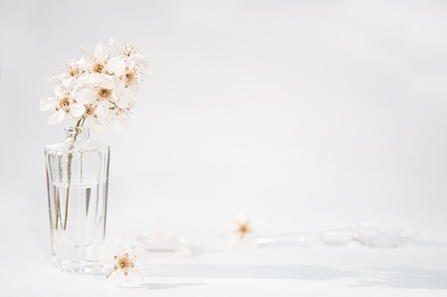 Een transparante fles parfum en een takje met witte bloemen, waarnaast een glazen staaf en een dop