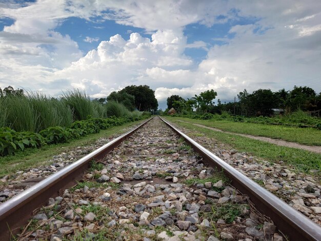 Foto een trein in een grasveld