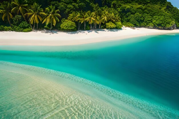 Een tropisch strand met palmbomen en blauw water.