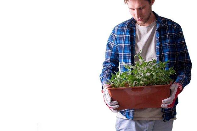 Een tuinman die een zaailingdienblad houdt om wat spruiten te planten, natuurzorg, geïsoleerde witte achtergrond