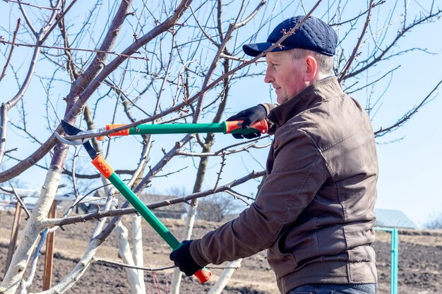 Een tuinman knipt boomtakken met een grote snoeischaar Bomen snoeien in het voorjaar