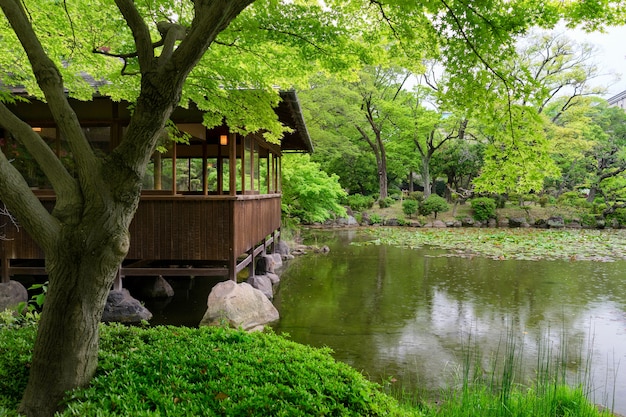 Een uitzicht vanaf de groene tuin Tennoji Keitakuen