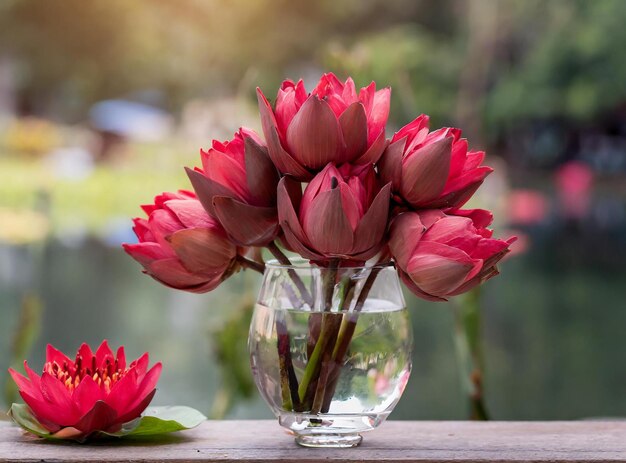 Een vaas met rode lotusbloemen erin en een waterglas op de achtergrond