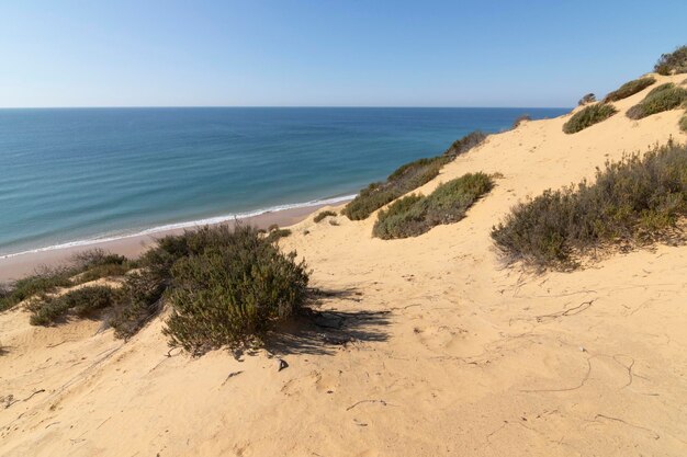 Een van de mooiste stranden van Spanje, genaamd (El Asperillo, Doñana, Huelva) in Spanje.