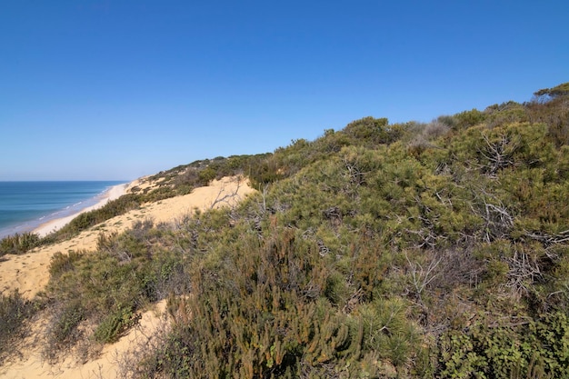 Een van de mooiste stranden van Spanje, genaamd (El Asperillo, Doñana, Huelva) in Spanje.