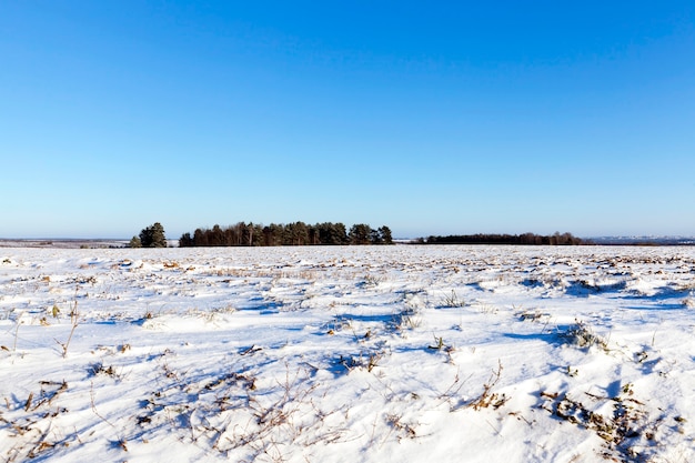 Een veld bedekt met sneeuw drijft weinig woord.