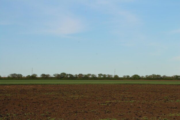 Foto een veld met een blauwe hemel en een paar wolken