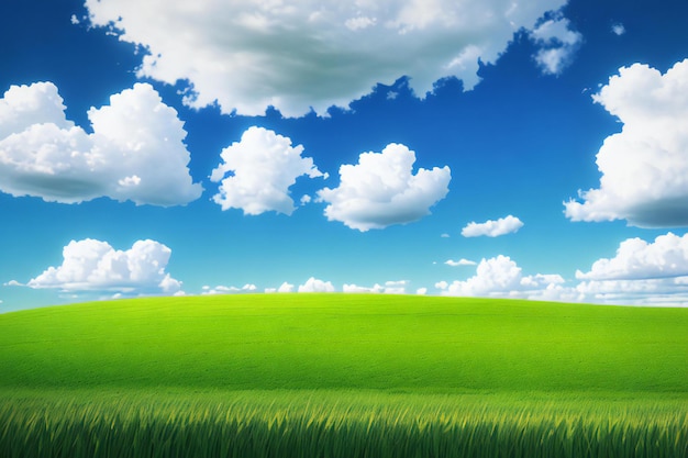 een veld van groen gras met een blauwe hemel op de achtergrond