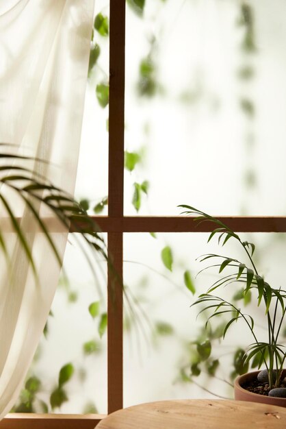 Foto een venster uitzicht op groene bladeren in de middag zonlicht