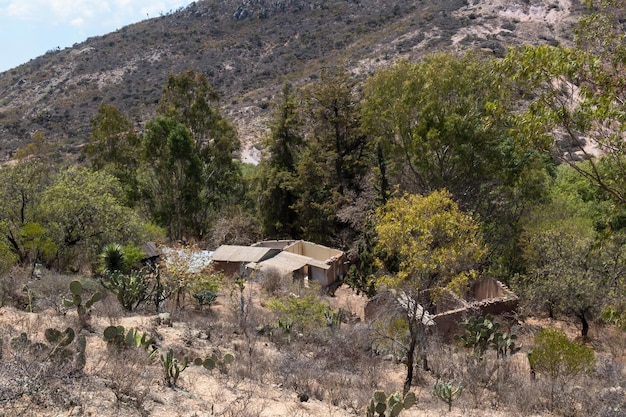 Een verlaten landelijk huis in de bergen met cactus