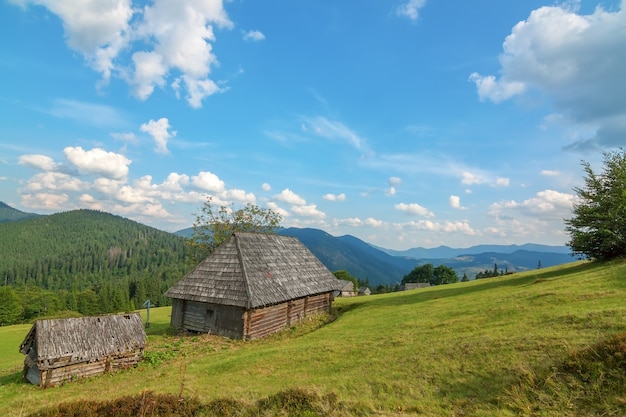 Een verlaten oud houten huis in de bossen van de Karpaten.