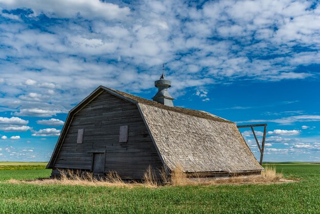 Foto een verlaten schuur omgeven door een tarweveld op de canadese prairies in saskatchewan