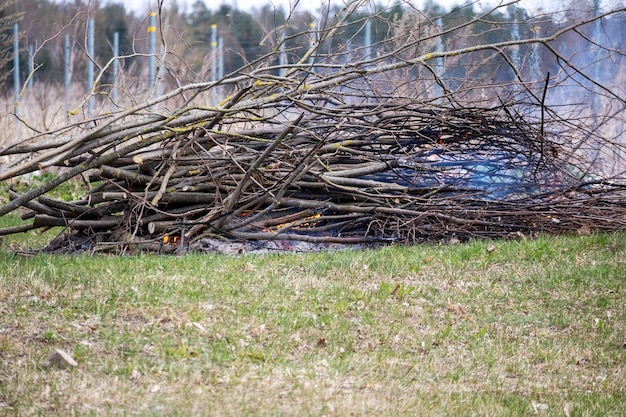 Een verlichte stapel takken aan de rand van het bos.